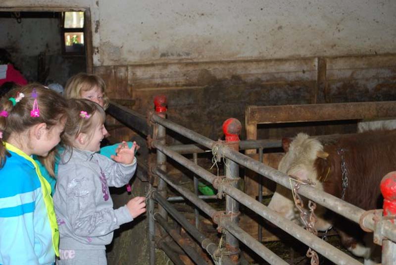 naravoslovni dan Na kmetiji 016